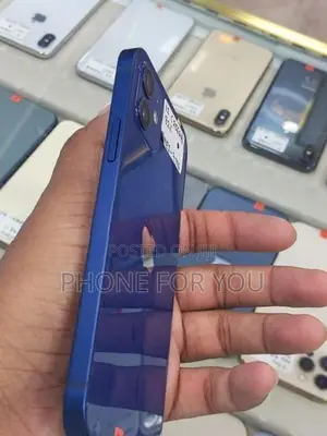 Apple iPhone 12 (Used)