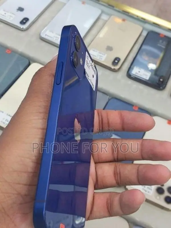 Apple iPhone 12 (Used)