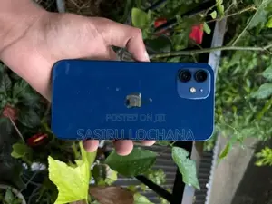 Apple iPhone 12 (Used)