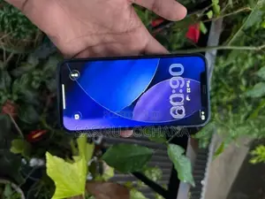 Apple iPhone 12 (Used)