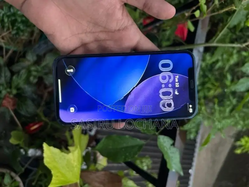 Apple iPhone 12 (Used)