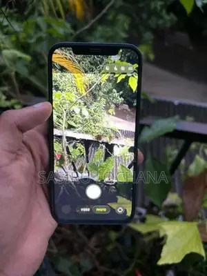 Apple iPhone 12 (Used)
