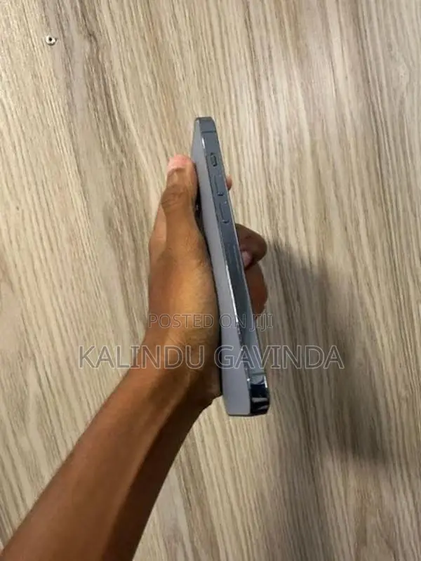 Apple iPhone 13 Pro (Used)