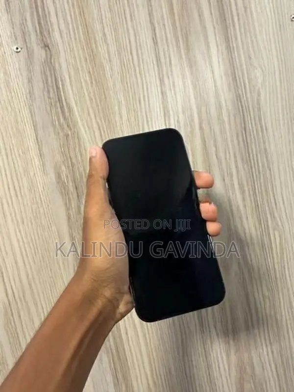 Apple iPhone 13 Pro (Used)