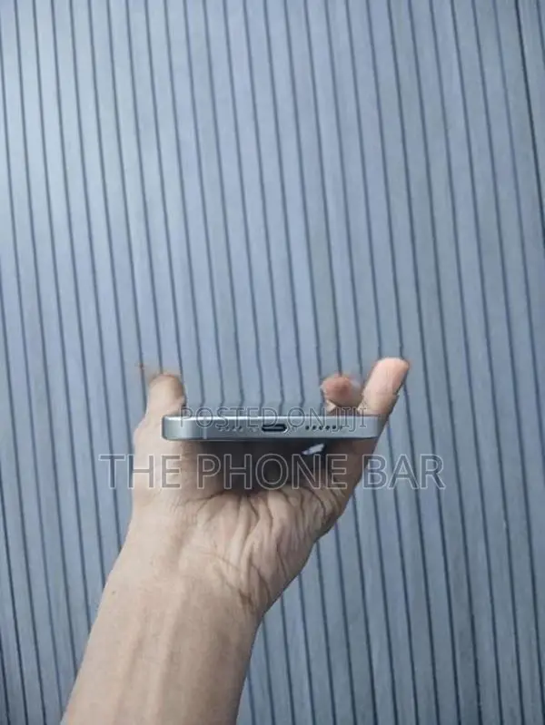 Apple iPhone 15 Pro Max (Used)