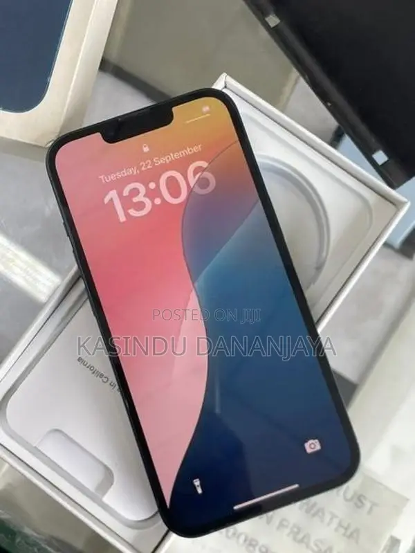 Apple iPhone 13 IP (Used)