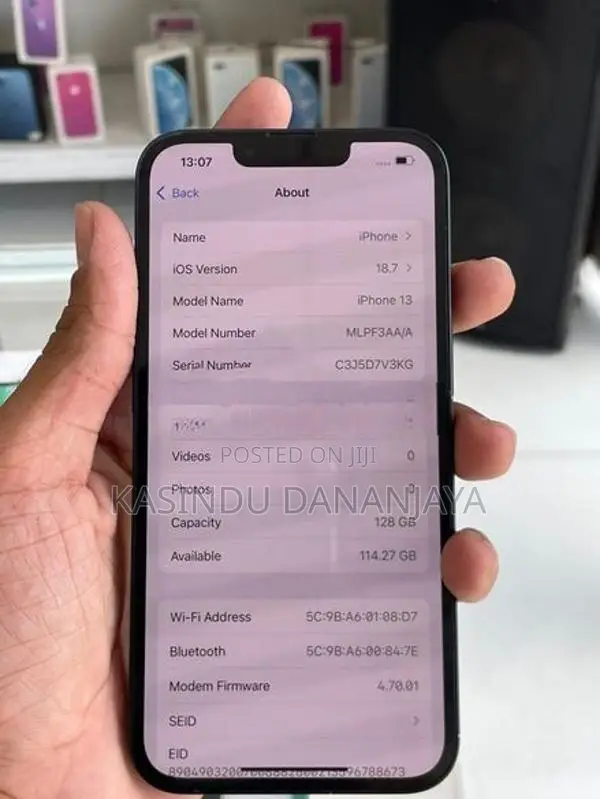 Apple iPhone 13 IP (Used)
