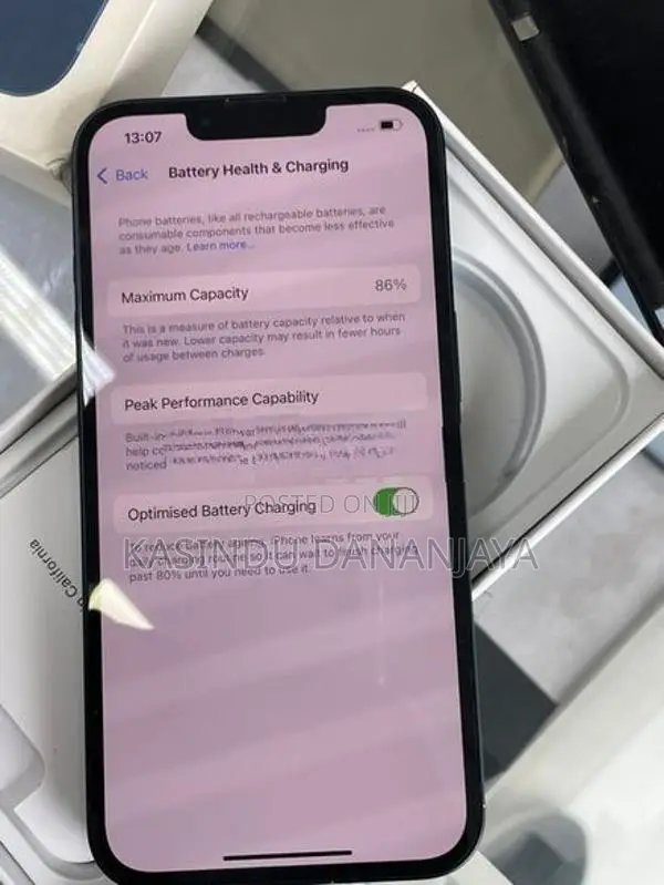 Apple iPhone 13 IP (Used)