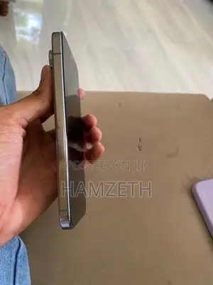 Google Pixel 10 Pro XL (Used)