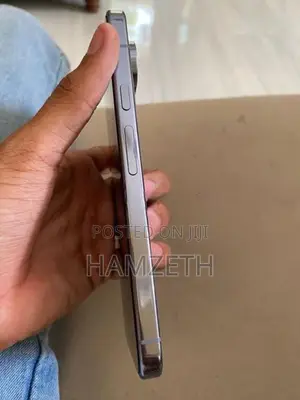 Google Pixel 10 Pro XL (Used)