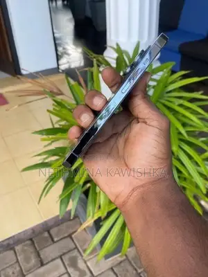 Apple iPhone 13 Pro (Used)