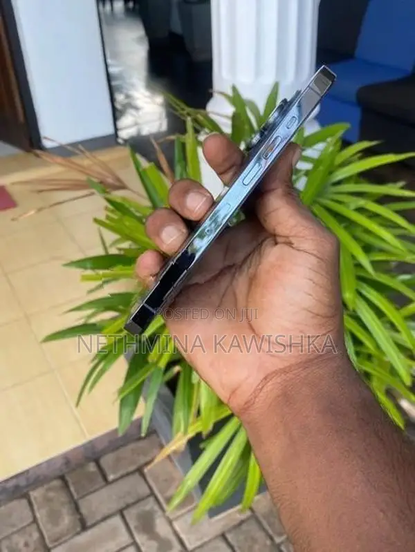 Apple iPhone 13 Pro (Used)