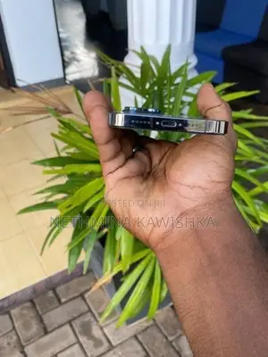 Apple iPhone 13 Pro (Used)