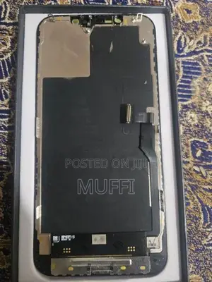 Apple IPhone 12 Pro Max Display