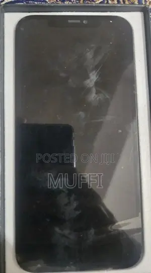 Apple IPhone 12 Pro Max Display