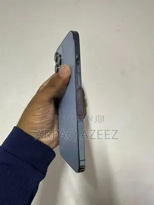 Apple iPhone 13 Pro Max (Used)