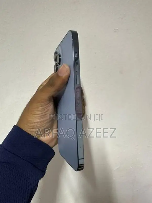 Apple iPhone 13 Pro Max (Used)