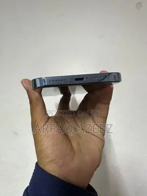 Apple iPhone 13 Pro Max (Used)