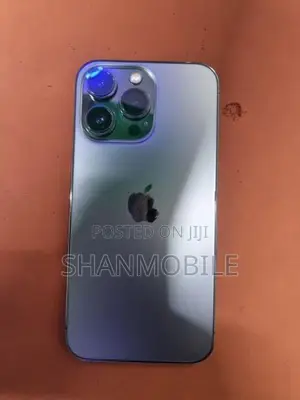 Apple iPhone 13 Pro 256GB (Used)