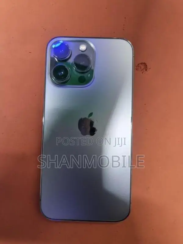 Apple iPhone 13 Pro 256GB (Used)