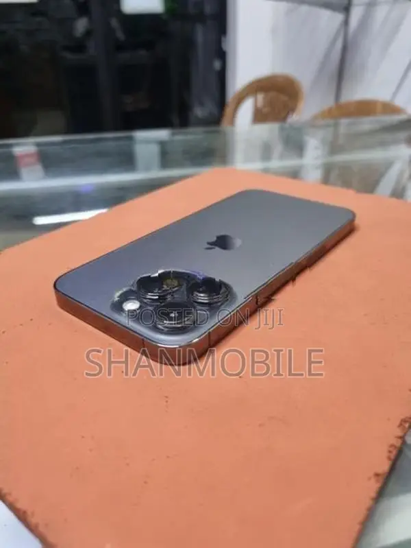 Apple iPhone 13 Pro 256GB (Used)