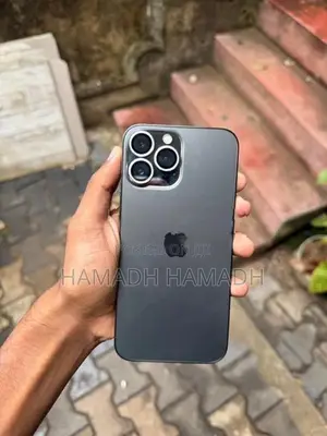 Apple iPhone 13 Pro Max (Used)