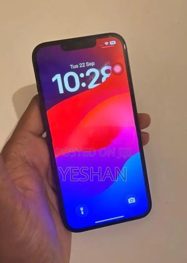 Apple iPhone 13 (Used)