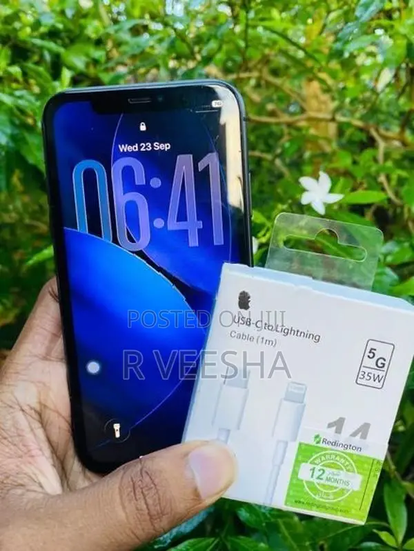 Apple iPhone 11 (Used)