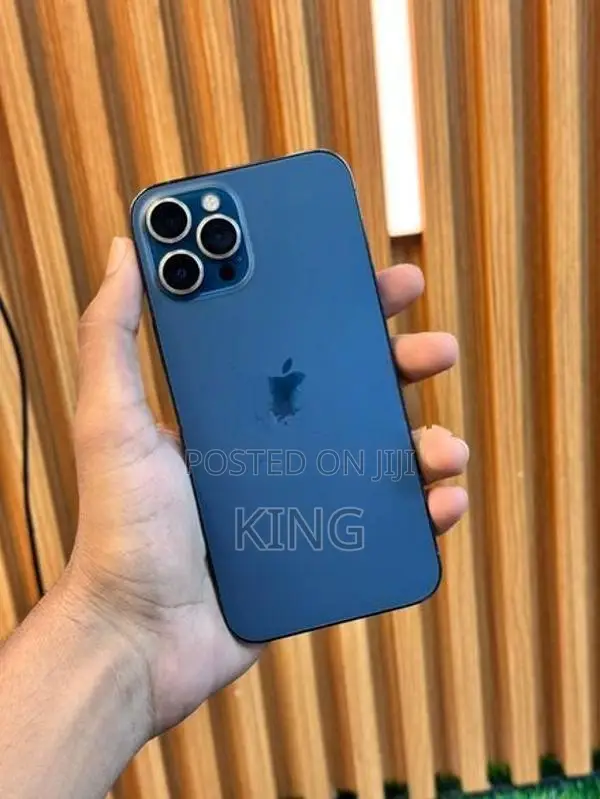 Apple iPhone 12 Pro Max (Used)