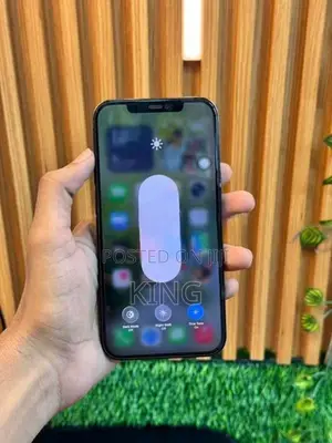 Apple iPhone 12 Pro Max (Used)