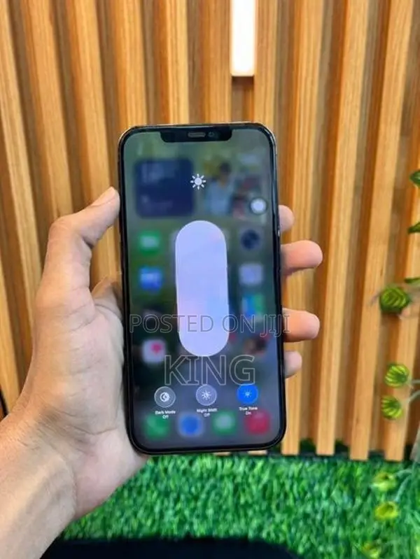 Apple iPhone 12 Pro Max (Used)