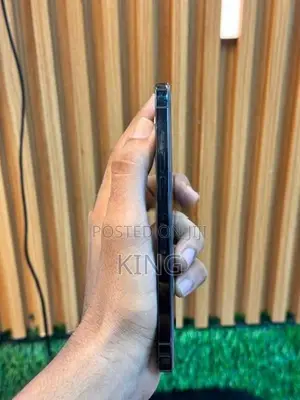Apple iPhone 12 Pro Max (Used)