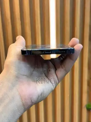 Apple iPhone 12 Pro Max (Used)