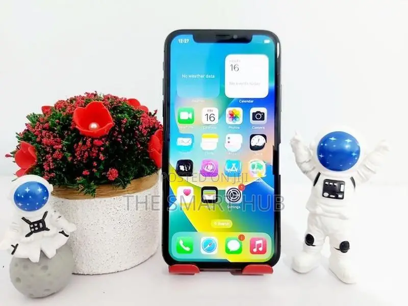 Apple iPhone X 256GB (Used)