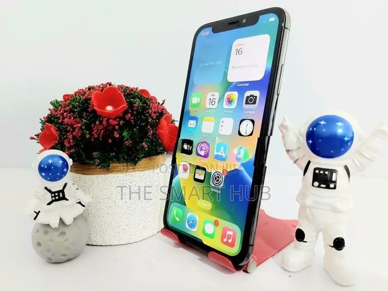 Apple iPhone X 256GB (Used)