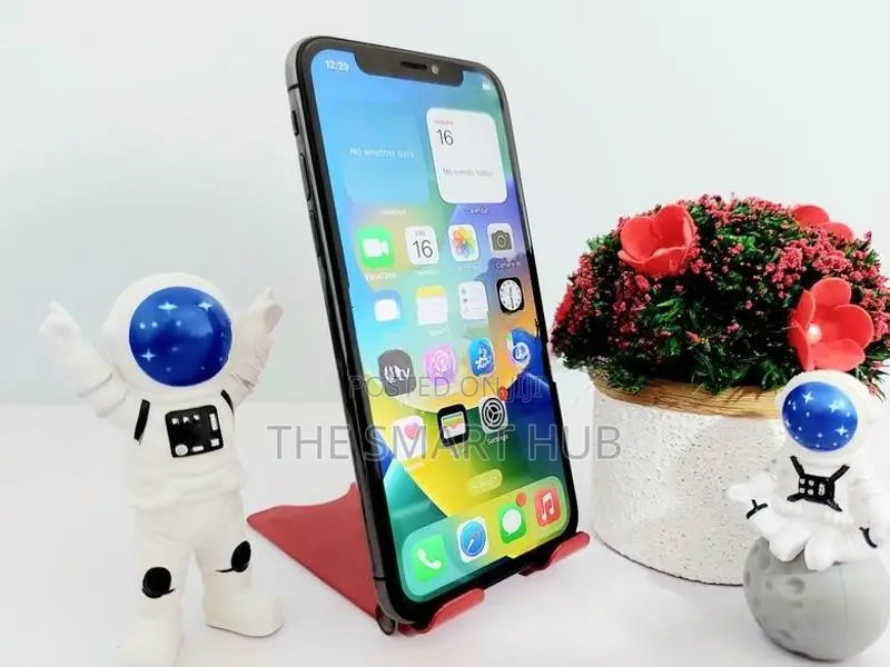 Apple iPhone X 256GB (Used)