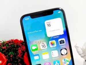 Apple iPhone X 256GB (Used)