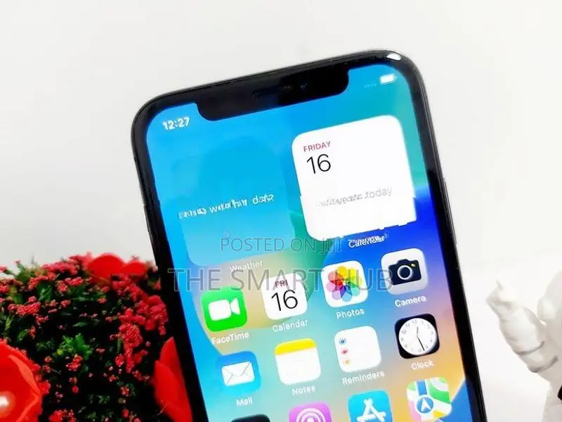 Apple iPhone X 256GB (Used)