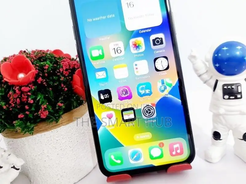 Apple iPhone X 256GB (Used)