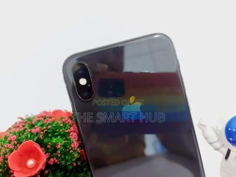 Apple iPhone X 256GB (Used)