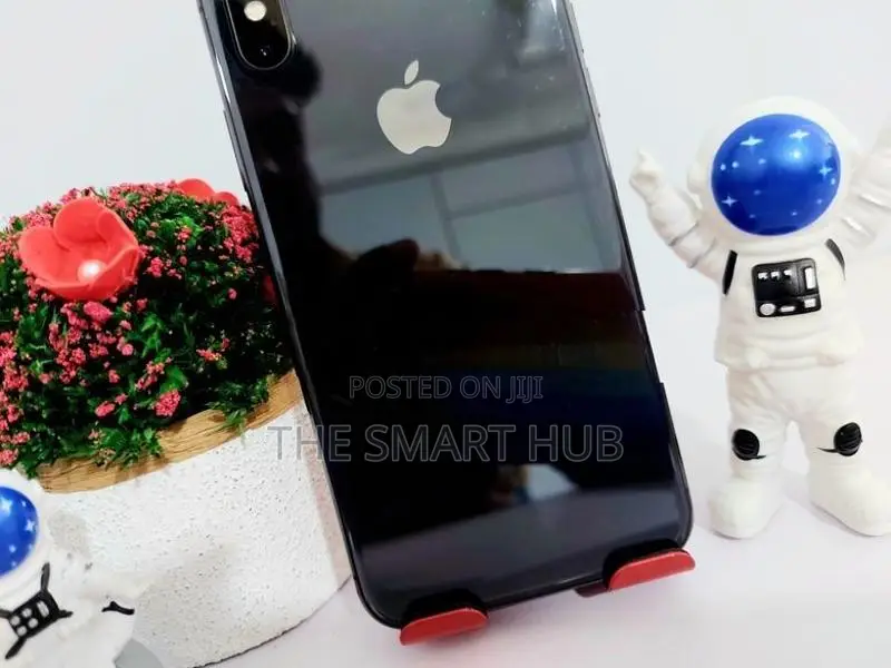 Apple iPhone X 256GB (Used)