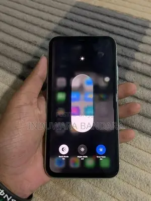 Apple iPhone 11 (Used)