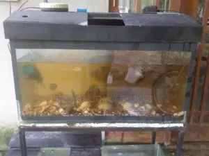 Fish Tank Set