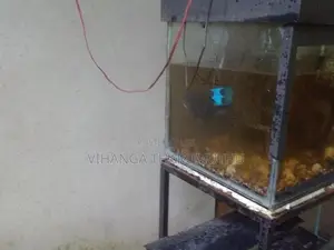 Fish Tank Set