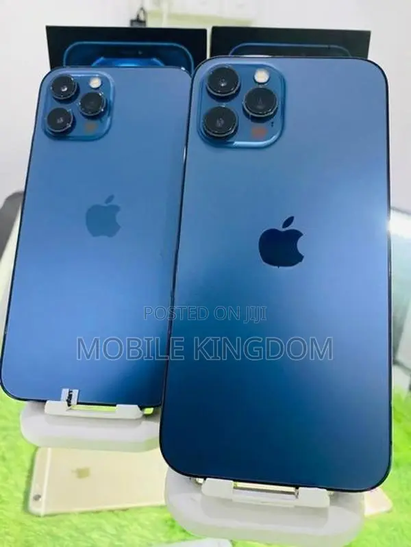 Apple iPhone 12 Pro Max 256GB (Used)