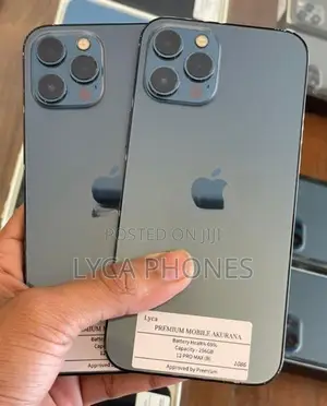 Apple iPhone 12 Pro Max 256GB (Used)