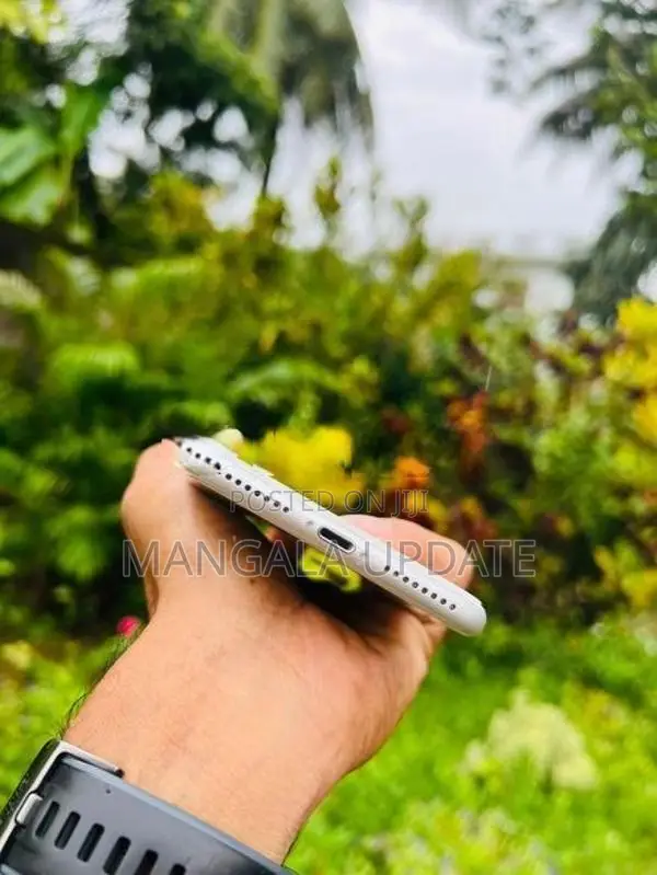 Apple iPhone 8 Plus (Used)