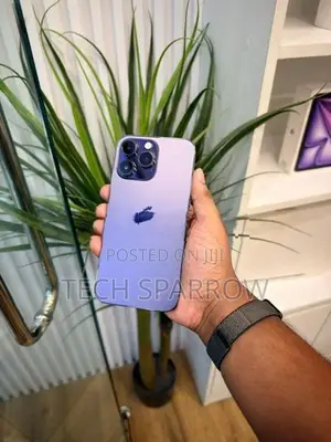 Apple iPhone 15 Pro Max 256GB (Used)