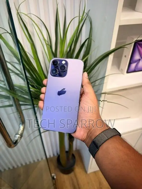 Apple iPhone 15 Pro Max 256GB (Used)