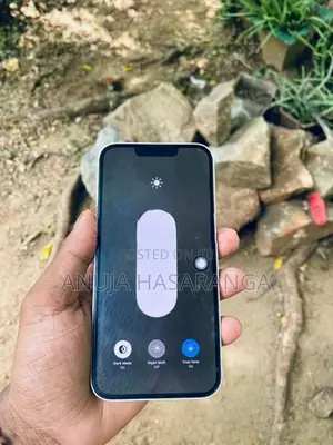Apple iPhone 13 (Used)